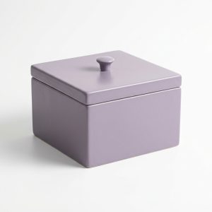 Elegant Modern Decorative Storage Box