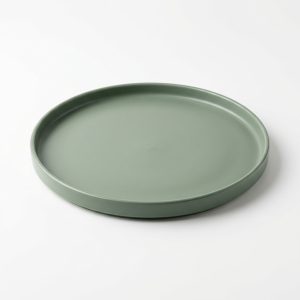 Elegant Modern Round Tray for Home Decor