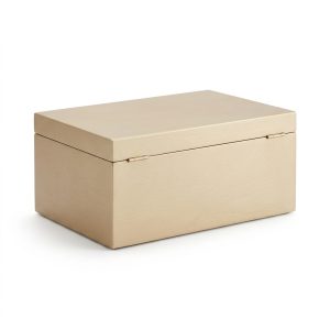 Elegant Wooden Storage Box for Modern Living Room Decor