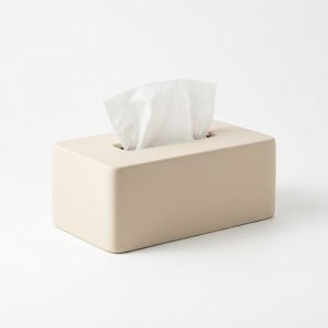 Luxury Tissue Box for Modern Home Decor